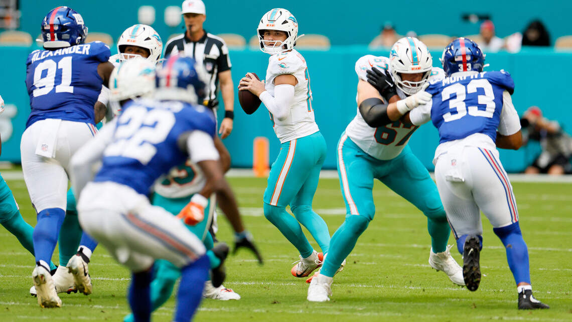 Ten things we learned about Dolphins from week of work versus